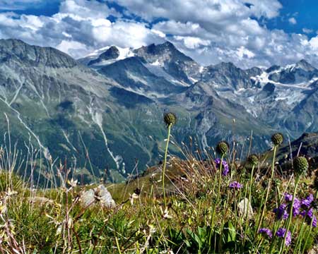 Yoga et Eté : la signification et la symbolique cette saison