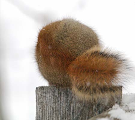 Yoga et Hiver : ce que signifie cette saison et comment s'y préparer