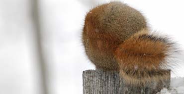 Yoga et Hiver : ce que signifie cette saison et comment s'y préparer