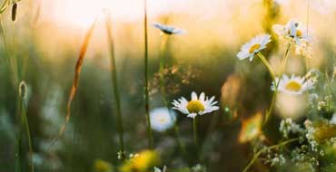 Le Yoga et la saison printemps