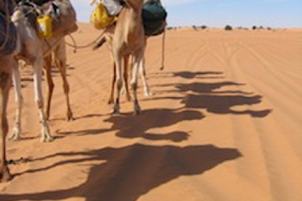 stage_yoga_2006_mauritanie_sahara_lina_franco_4