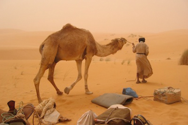 stage_yoga_2006_mauritanie_sahara_lina_franco_6