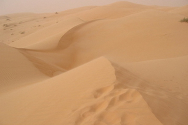 stage_yoga_2006_mauritanie_sahara_lina_franco_7