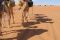 stage_yoga_2006_mauritanie_sahara_lina_franco_4