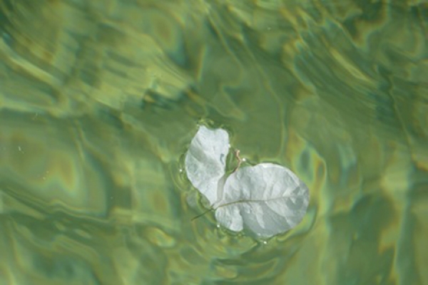 stage_yoga_2013_italie_sicile_lina_franco_5