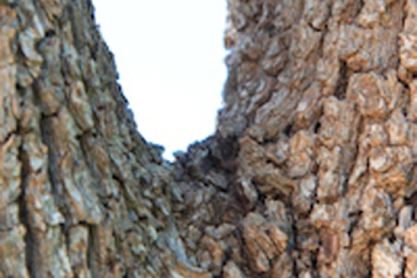 stage_yoga_2014_italie_pouilles_lina_franco_7