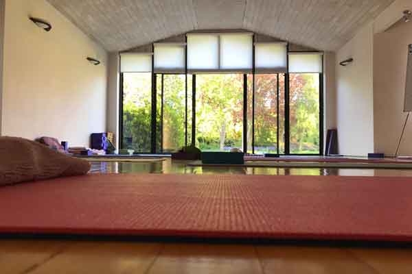 16-stage-yoga-dublin-2018-body-yoga-paris11e