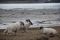 sejour-yoga-ecosse-juillet-2020_4